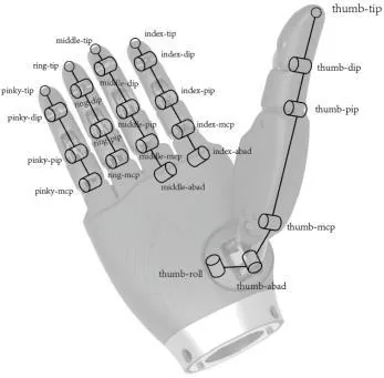 Esquema cinemático de dedos y pulgar